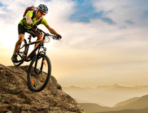 Exploring the Best Mountain Bicycles for Trail Riding