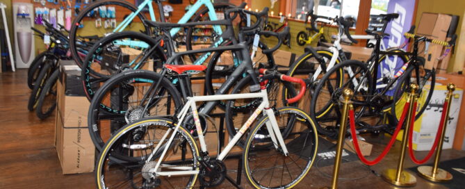 Photo of the front entrance of Lakeside Bicycles in Oswego with a variety of italian bikes on display, including a pegoretti and three blianchis
