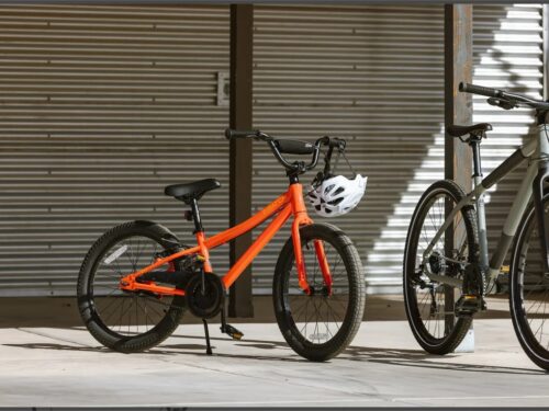 Batch 20" Coaster Brake Bike at Lakeside Bicycles