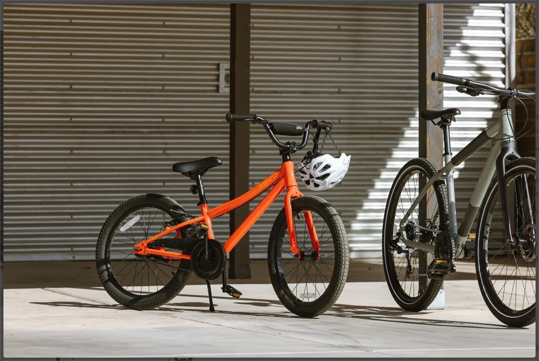 Batch 20" Coaster Brake Bike at Lakeside Bicycles